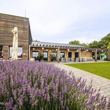 Panorama Birtok - Wellness Panzio, Konferencia Es Rendezvenykoezpont Bed & Breakfast Gyorujbarat Exterior photo